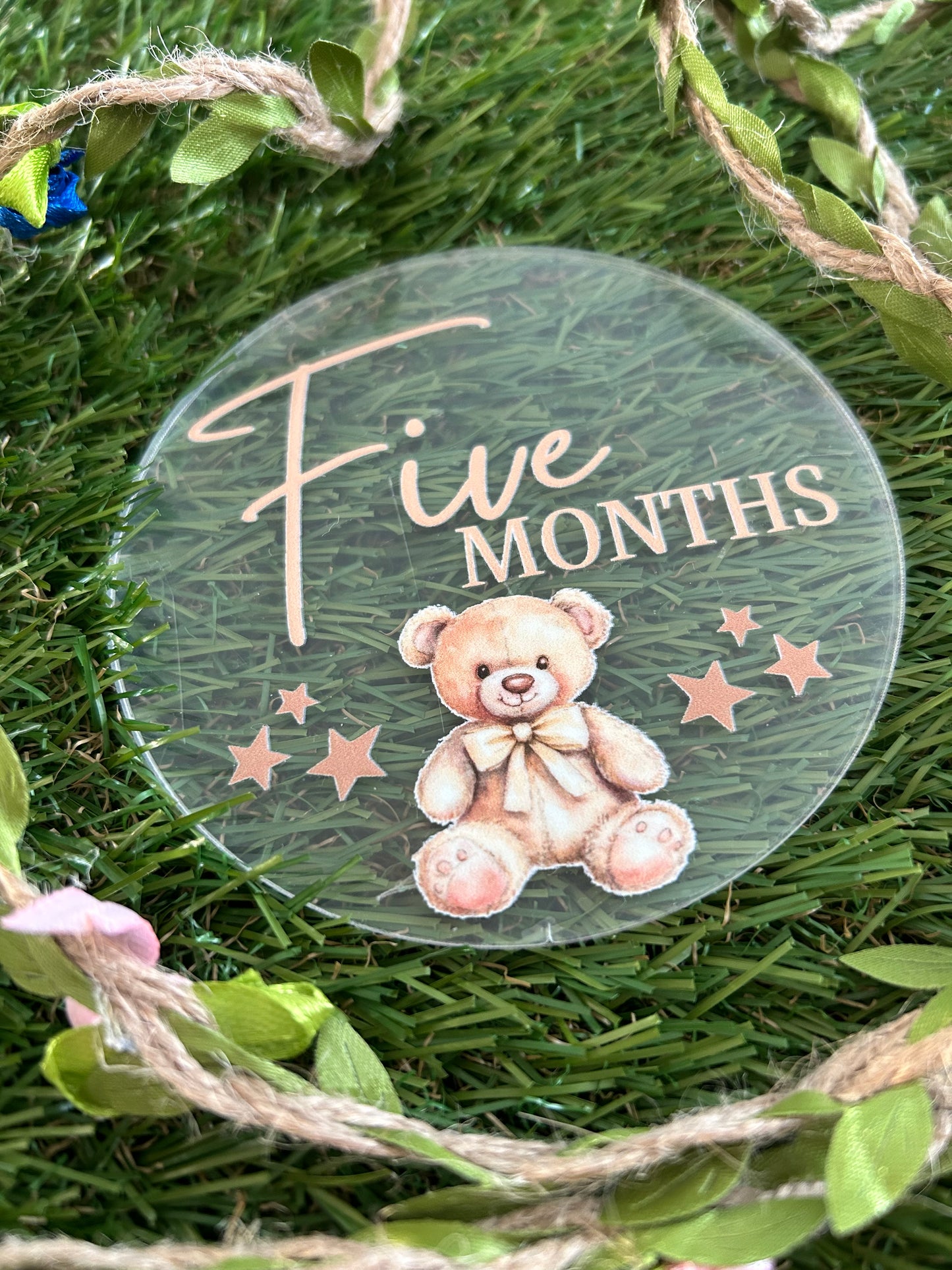 Baby Milestone Discs