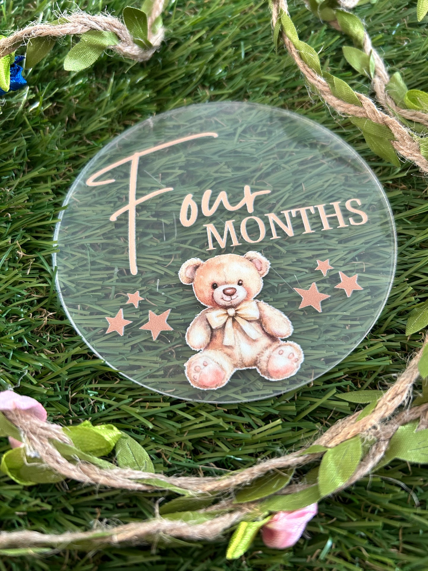 Baby Milestone Discs