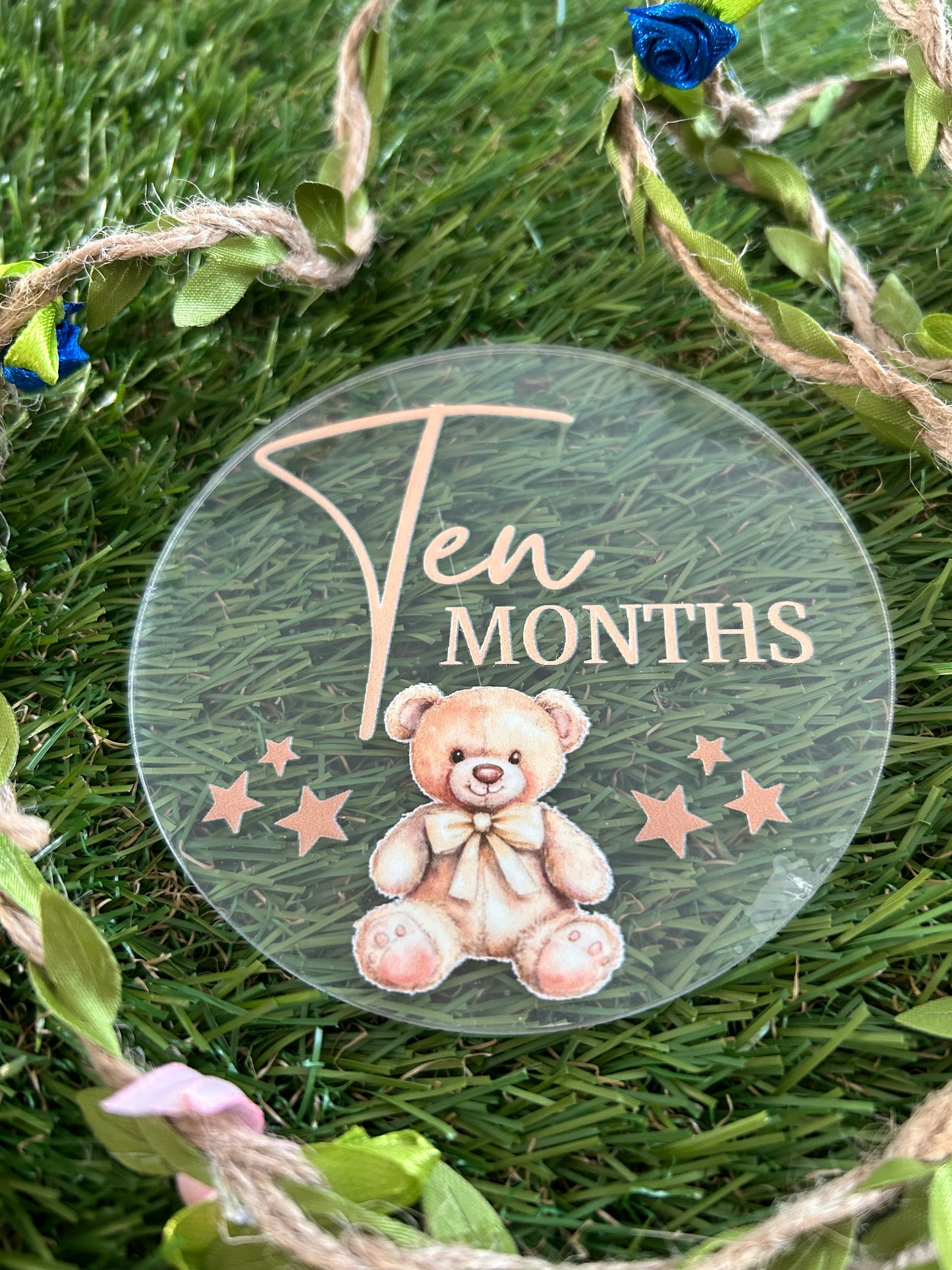 Baby Milestone Discs