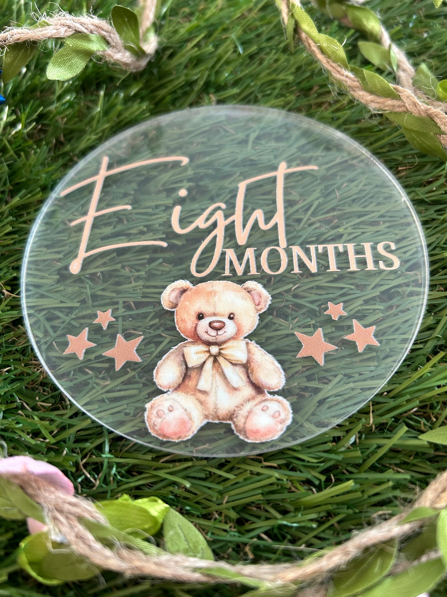 Baby Milestone Discs