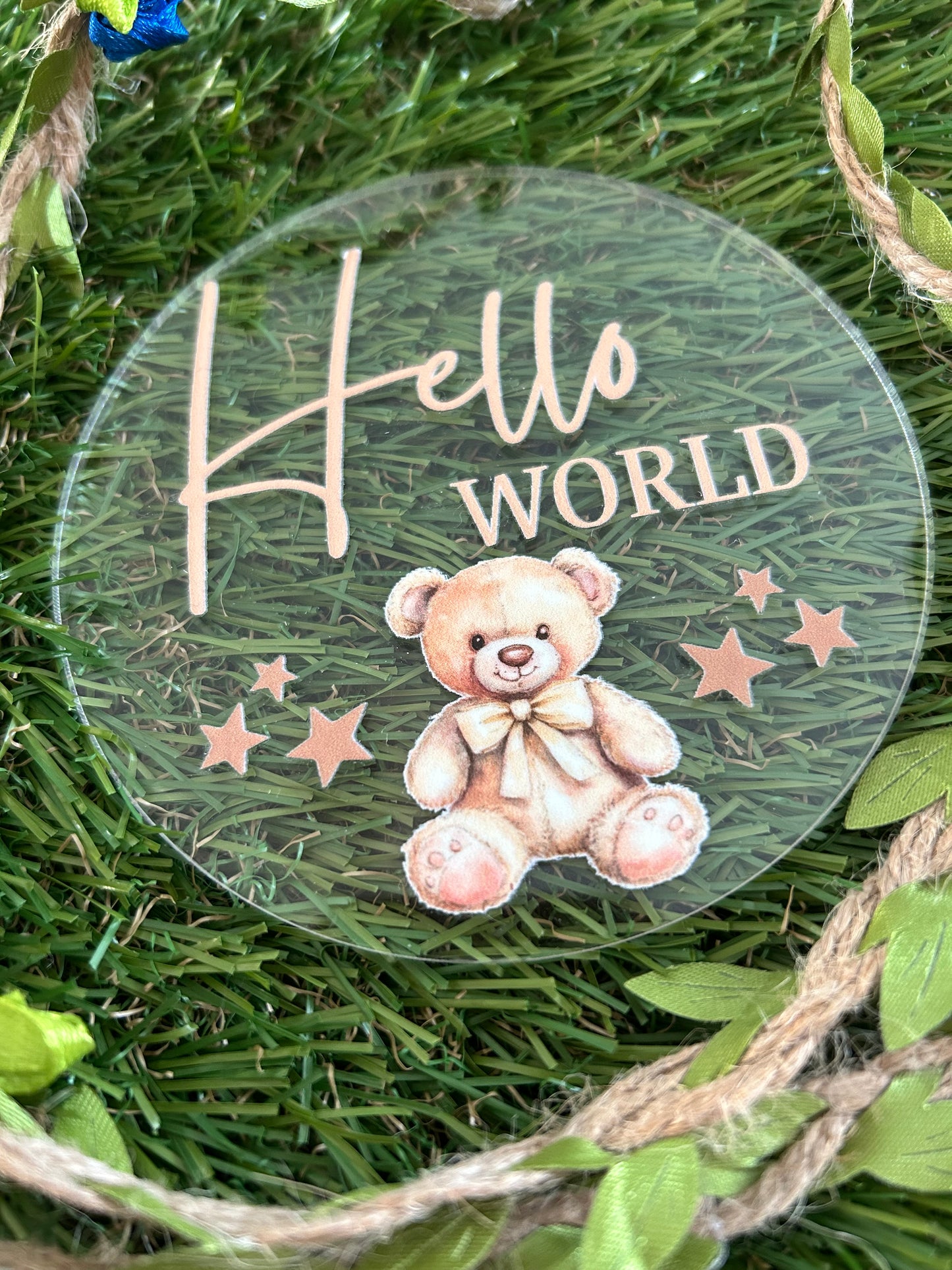 Baby Milestone Discs