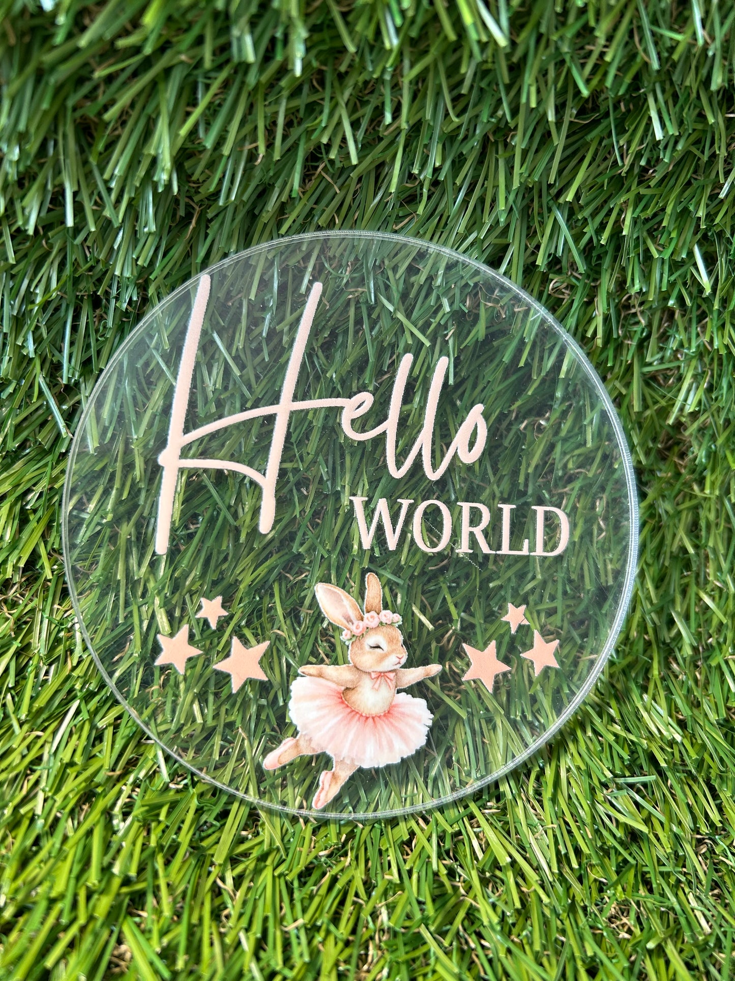 Baby Milestone Discs