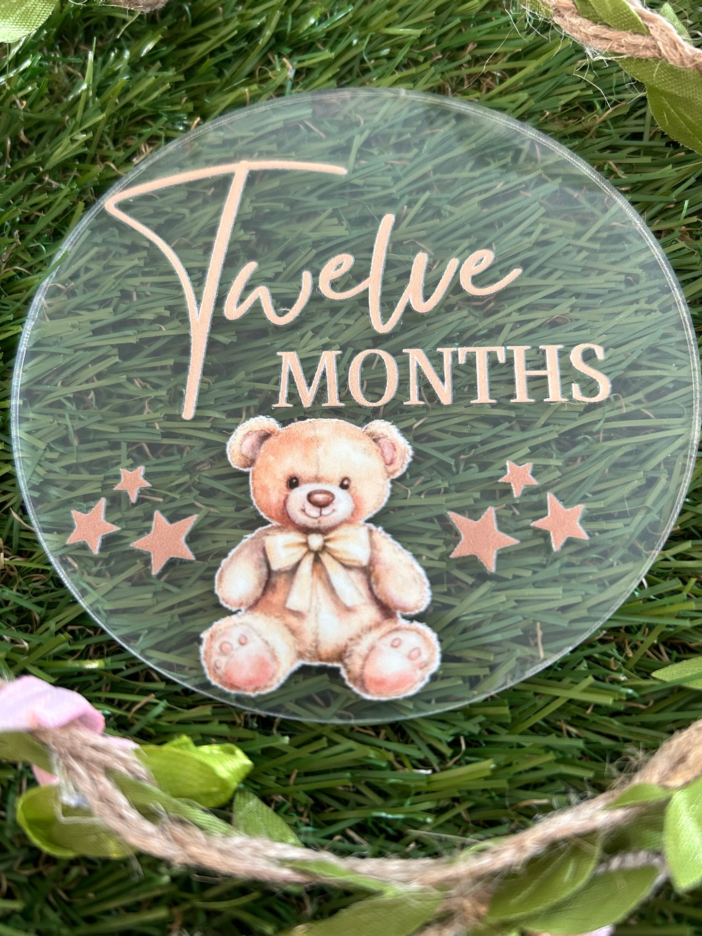 Baby Milestone Discs