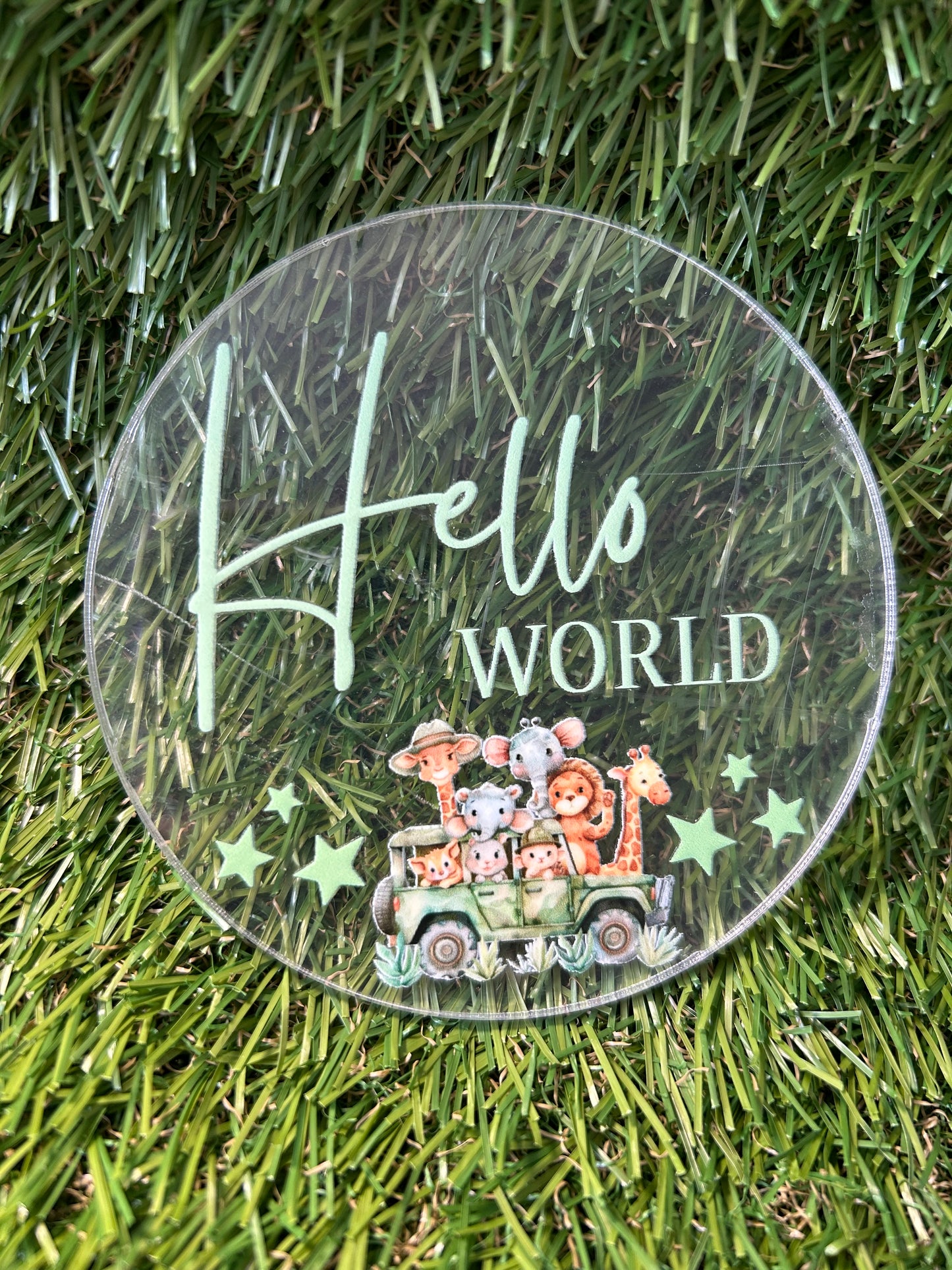 Baby Milestone Discs
