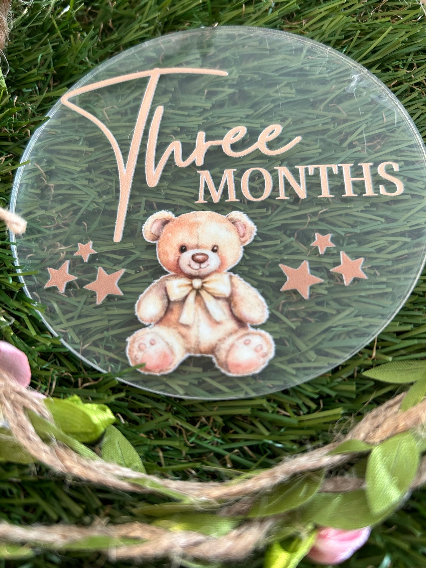 Baby Milestone Discs