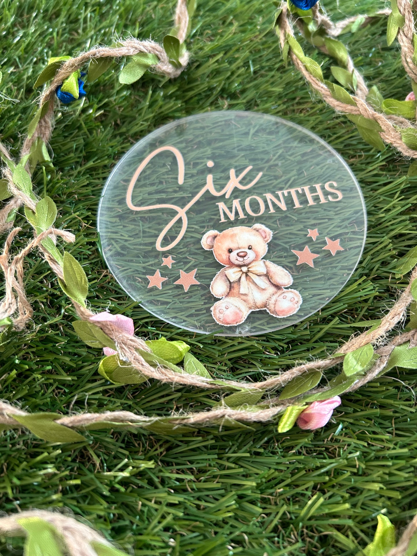 Baby Milestone Discs