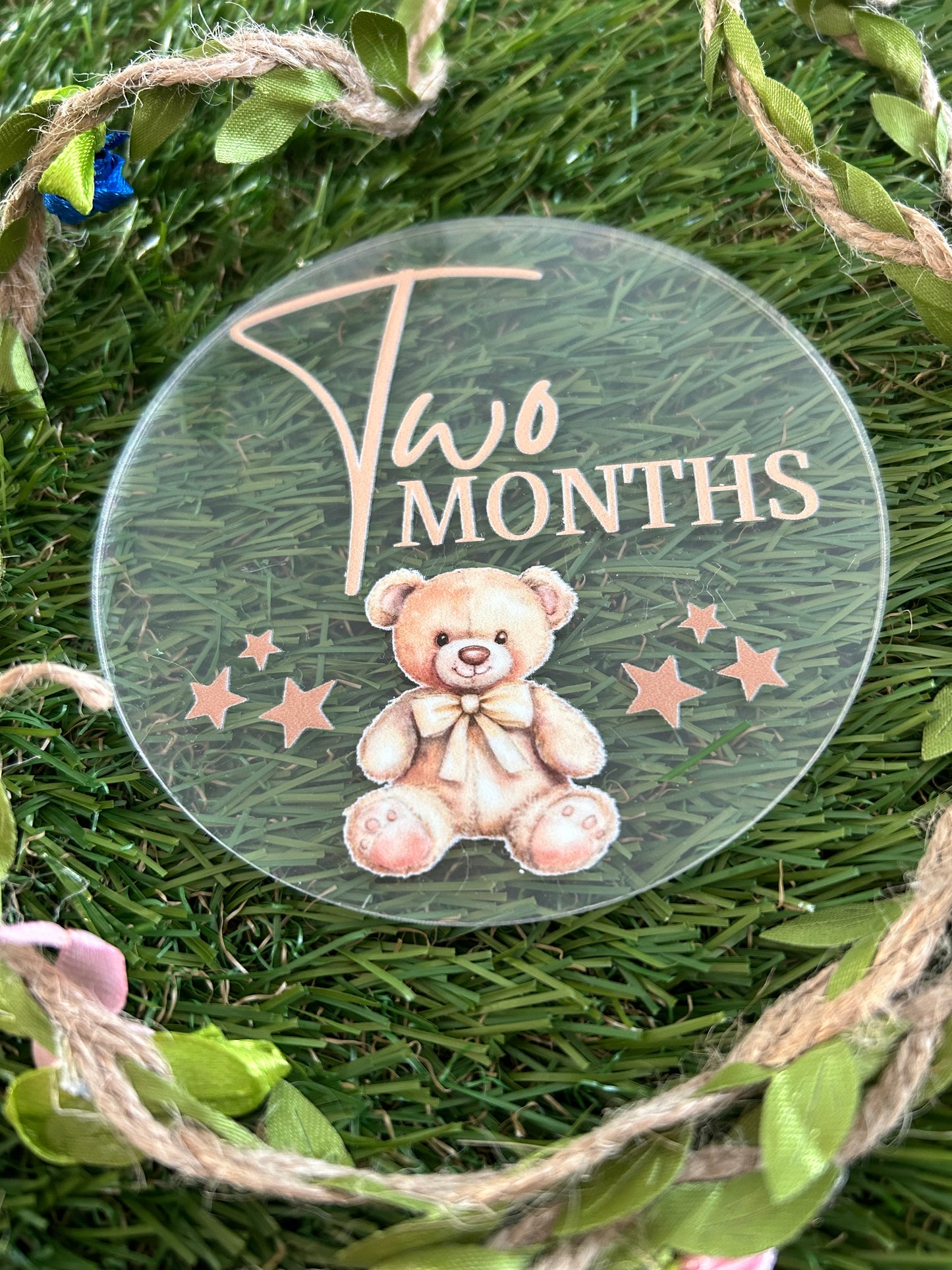 Baby Milestone Discs