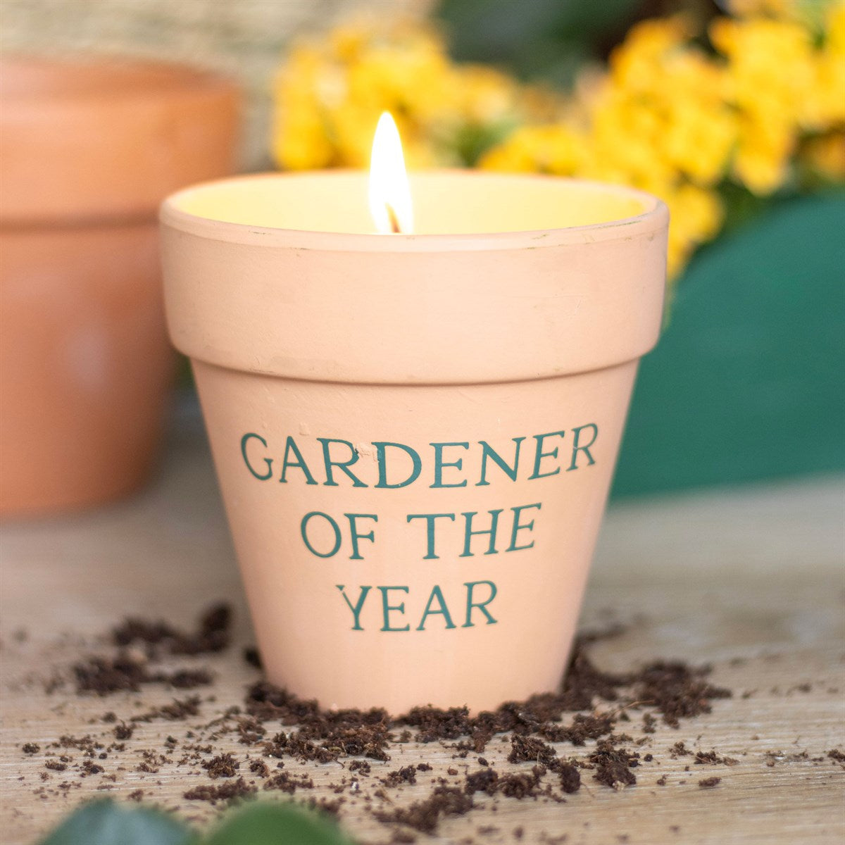Citronella Ceramic Plant Pot Candle - Gardener Of The Year
