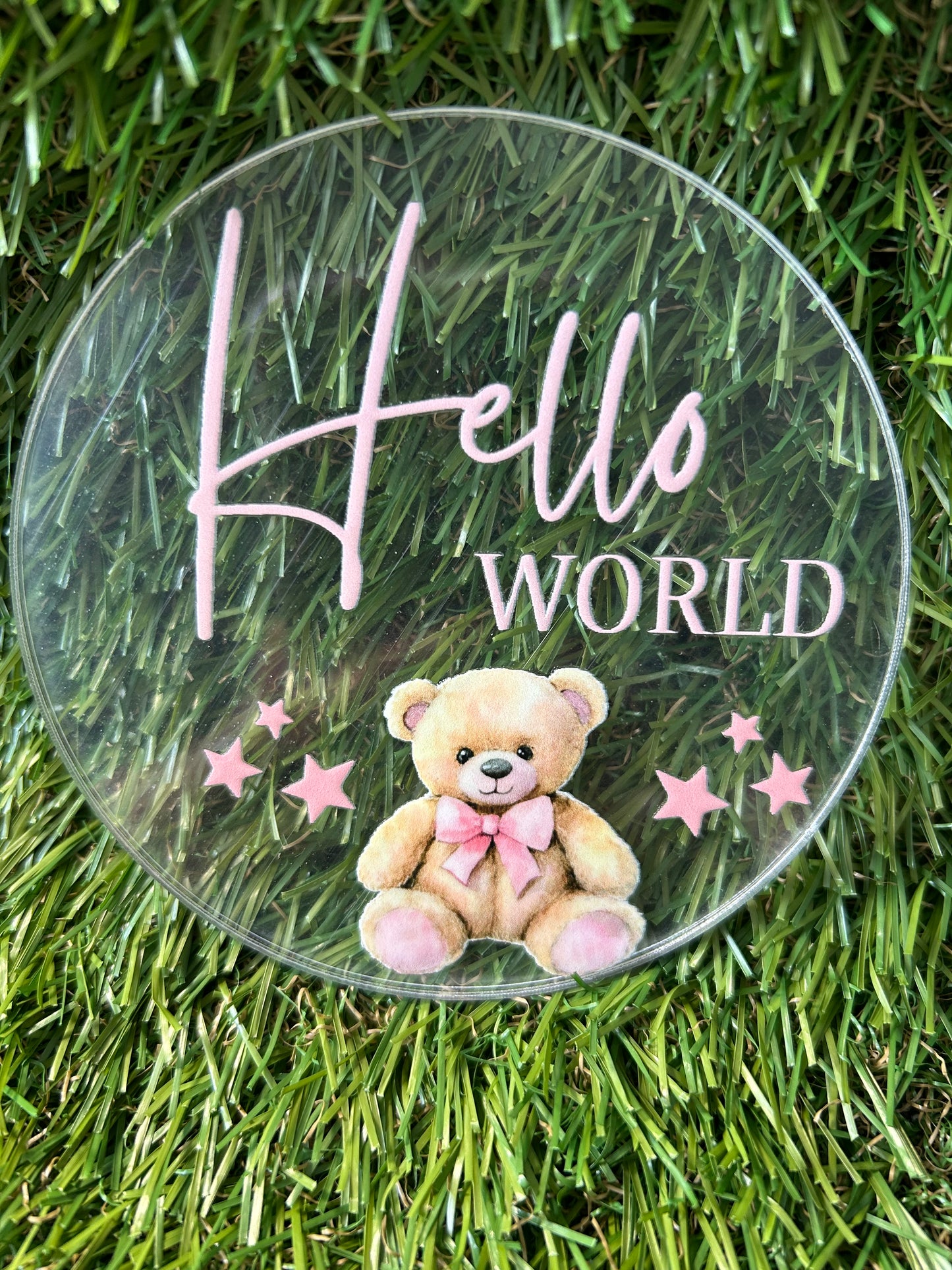 Baby Milestone Discs