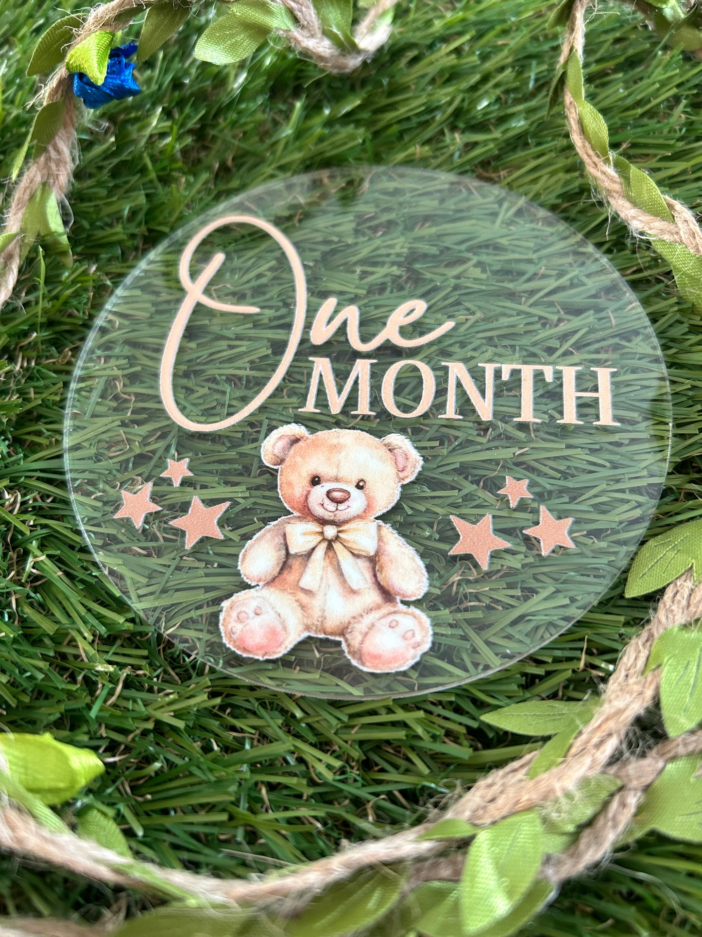 Baby Milestone Discs