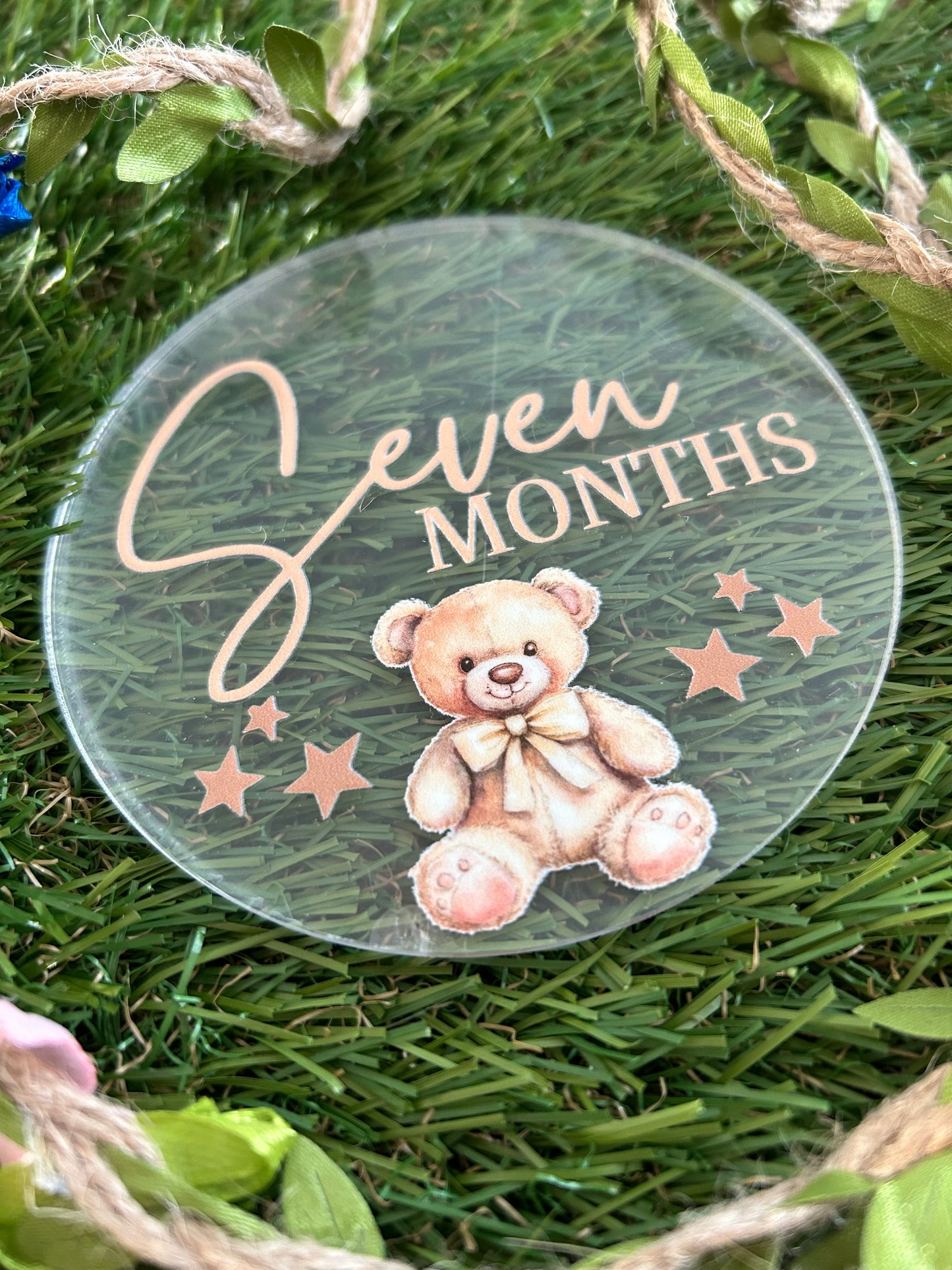 Baby Milestone Discs