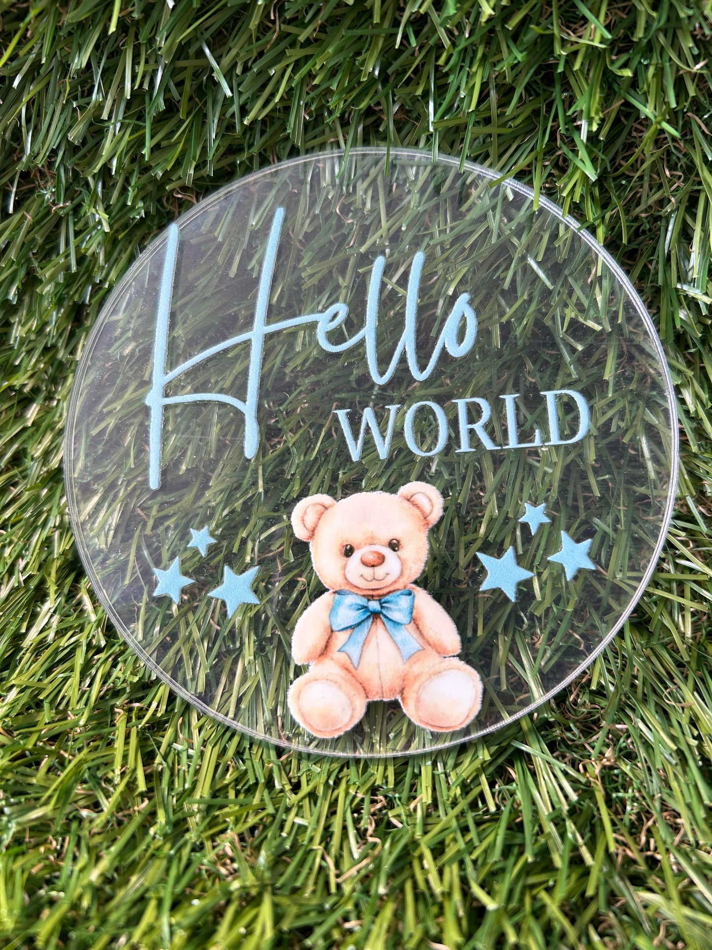 Baby Milestone Discs