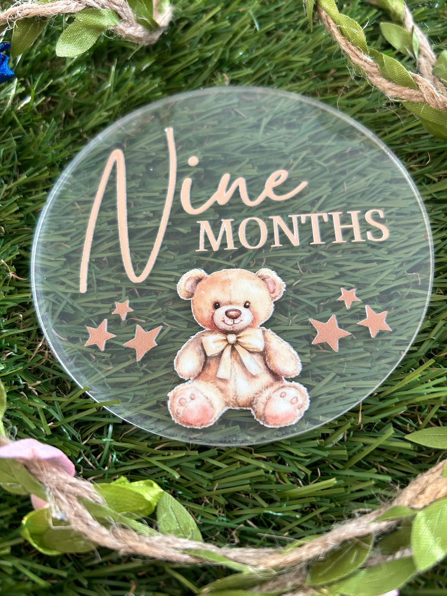 Baby Milestone Discs
