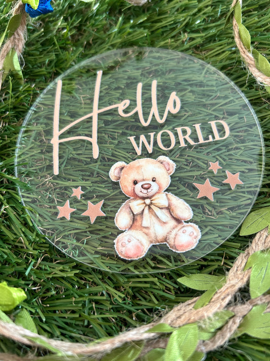 Baby Milestone Discs