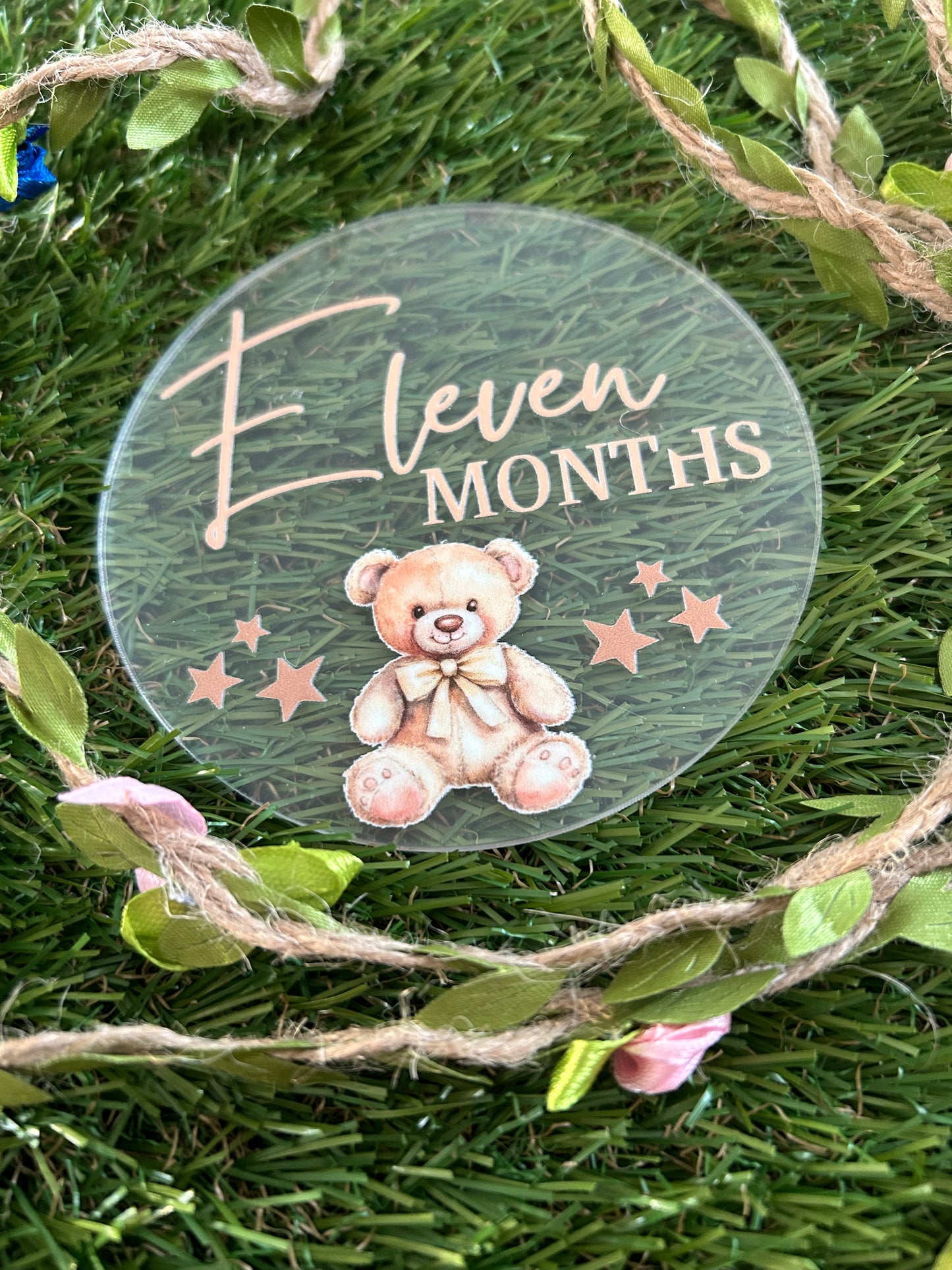 Baby Milestone Discs